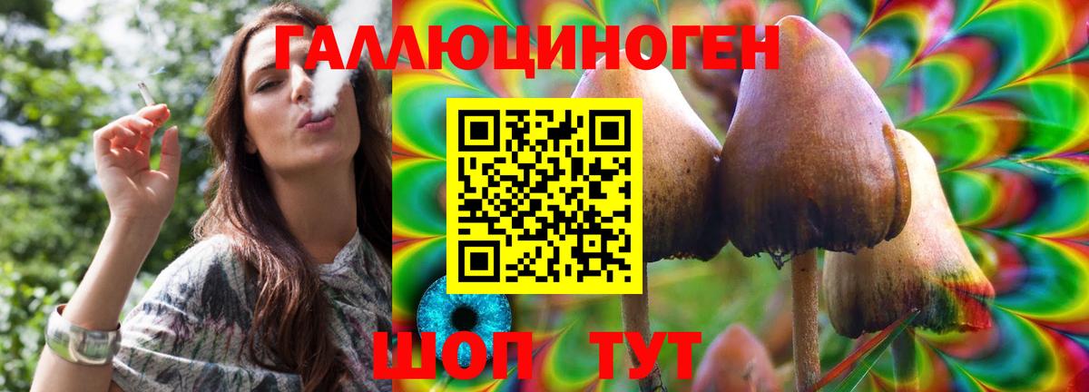 Соль-Илецк  Псилоцибиновые грибы Magic Shrooms  Вход с VPN 